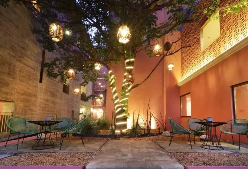 Fotos del hotel City Centro Oaxaca:  21