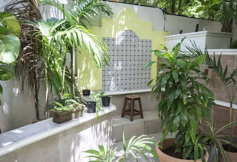 Fotos del hotel Maya Suites By Lhmg:  17