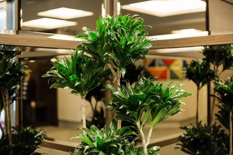 Fotos del hotel M S Est Shijokarasuma:  6