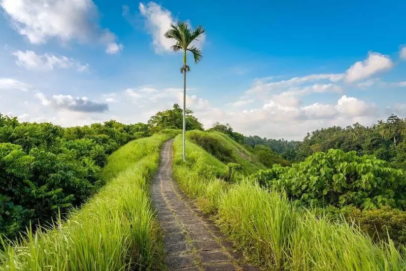 Fotos del hotel Pondok Massas Ubud:  11