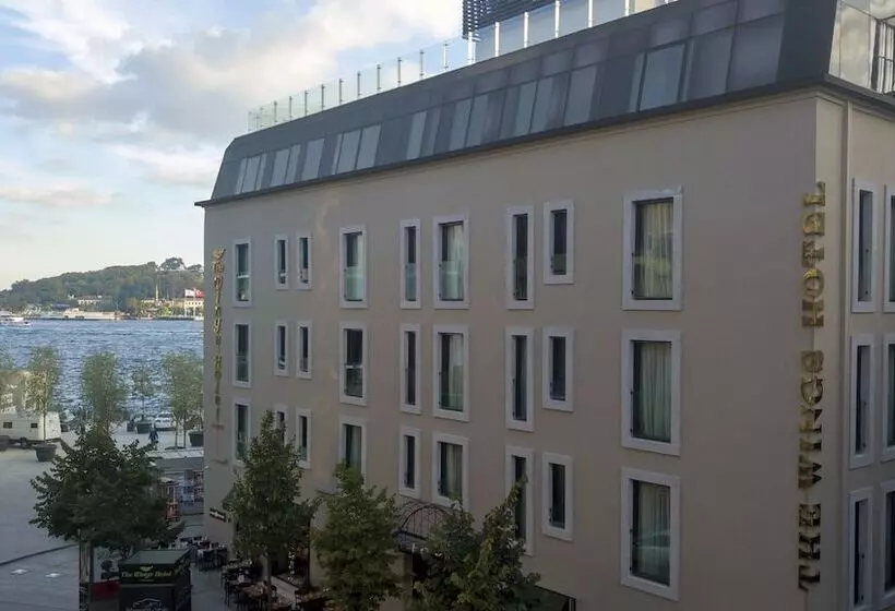 Fotos del hotel The Wings  Istanbul:  20