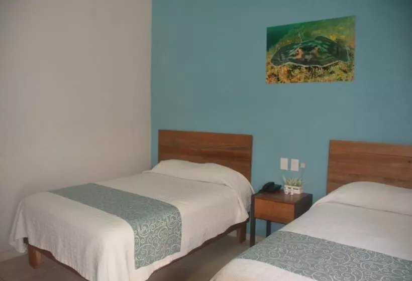 Fotos del hotel Acapulco Amor:  9