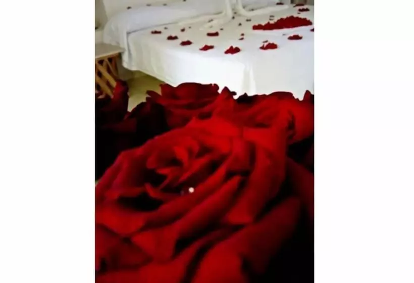 Fotos del hotel Piccolo Peccato:  8