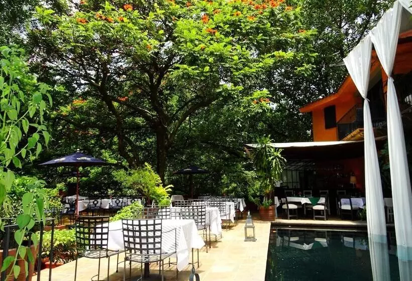 Fotos del hotel Piccolo Peccato:  25