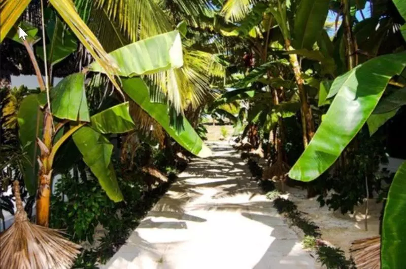 Fotos del hotel Blue Moon Resort:  24