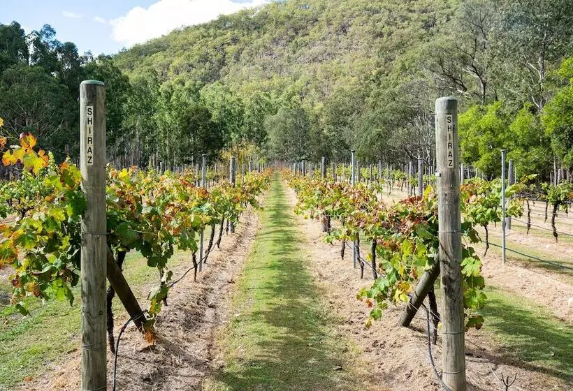 Fotos del hotel Barney Creek Vineyard Cottages:  5