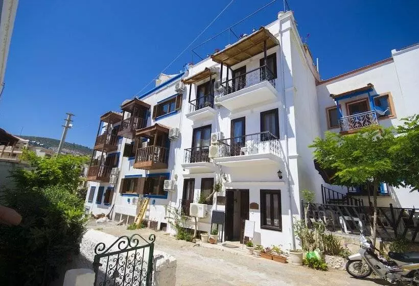 Fotos del hotel Kleo Pension:  8