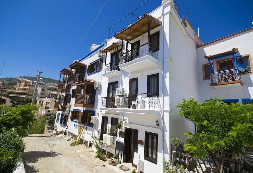 Fotos del hotel Kleo Pension:  21