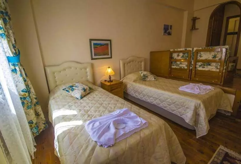 Fotos del hotel Kleo Pension:  19