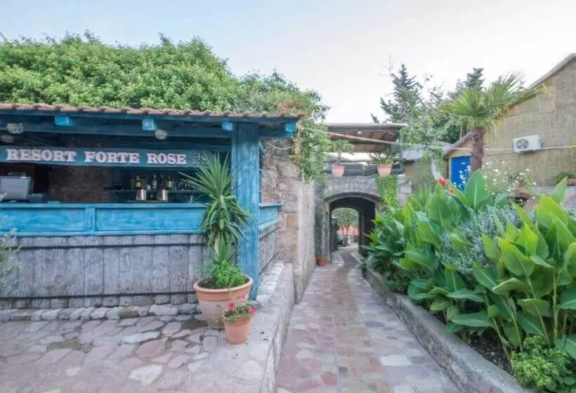 Fotos del hotel Forte Rose:  21