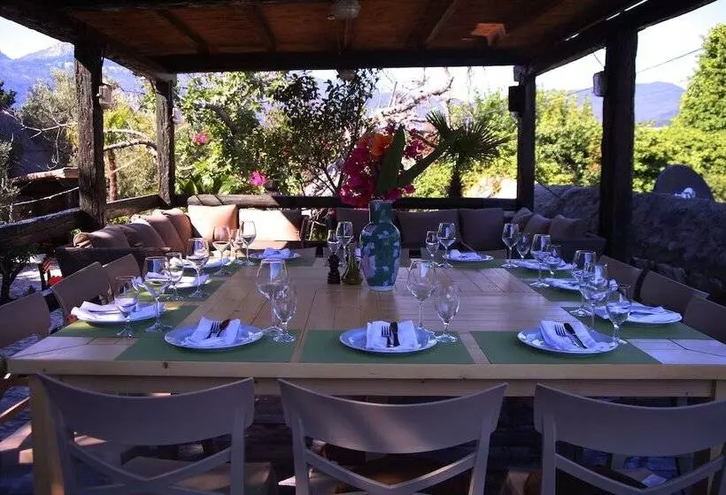Fotos del hotel Forte Rose:  18