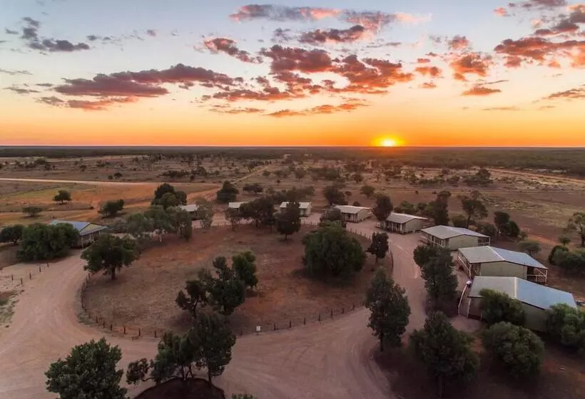 Fotos del hotel Mungo Lodge:  5