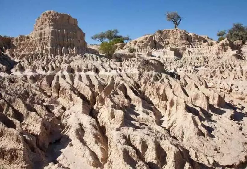Fotos del hotel Mungo Lodge:  6