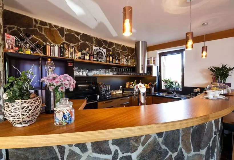 Fotos del hotel Penzión Darinka:  7
