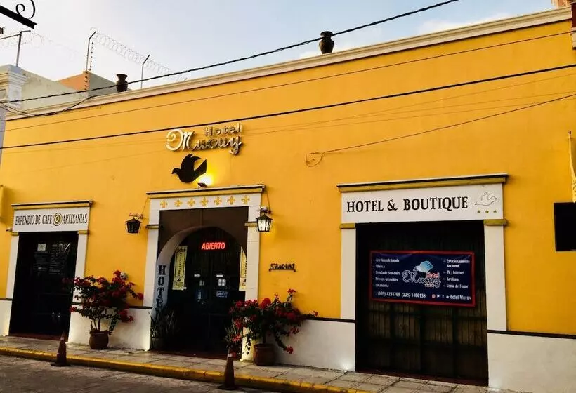 Mucuy