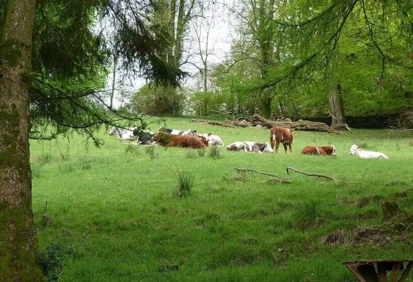 Fotos del hotel Blenheim Lodge:  6