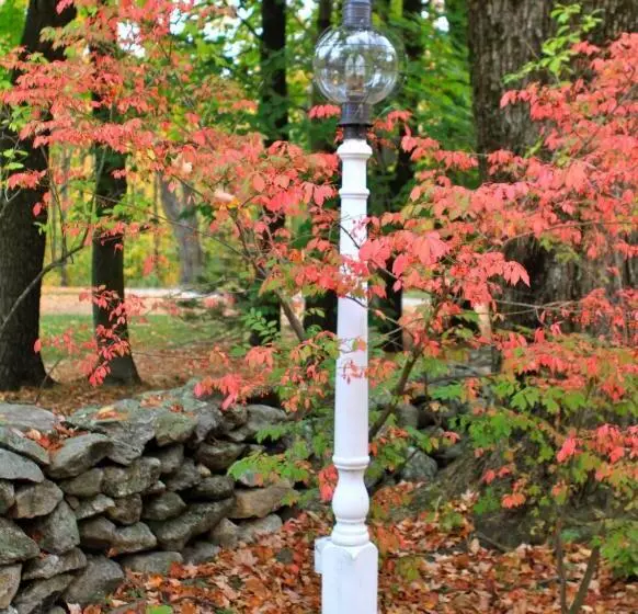 Fotos del hotel Maguire House Bed And Breakfast:  10