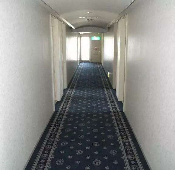 Fotos del hotel New Green Tsubame Sanjo:  11
