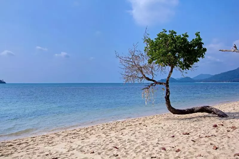 Fotos del hotel White Knot Koh Chang By D Varee:  3