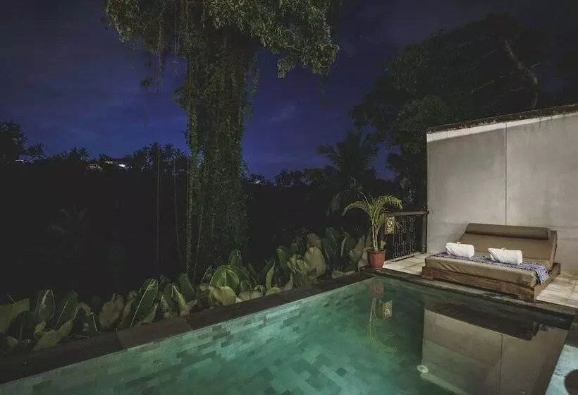 Fotos del hotel Amora Ubud Boutique Villas:  3