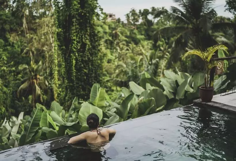 Fotos del hotel Amora Ubud Boutique Villas:  25