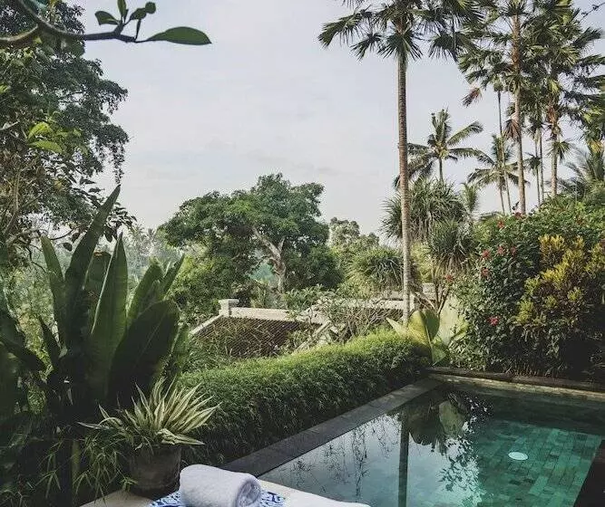 Fotos del hotel Amora Ubud Boutique Villas:  15