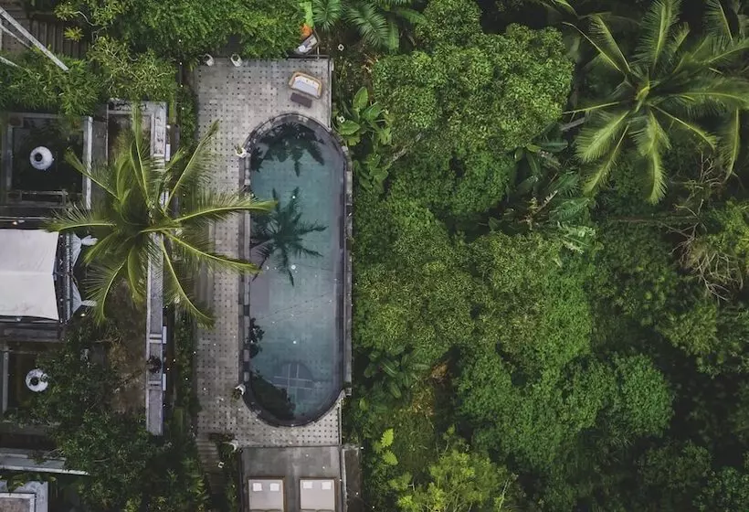Fotos del hotel Amora Ubud Boutique Villas:  8