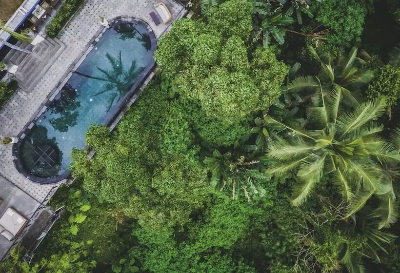 Fotos del hotel Amora Ubud Boutique Villas:  20