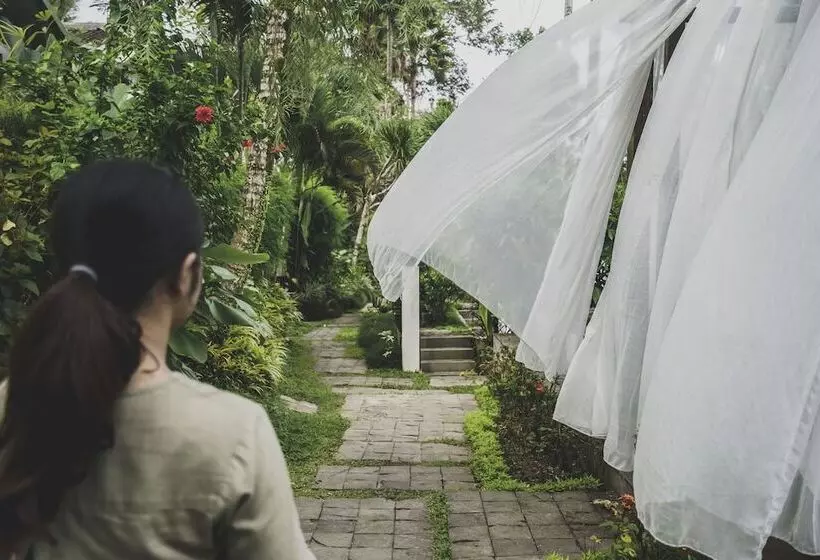 Fotos del hotel Amora Ubud Boutique Villas:  22