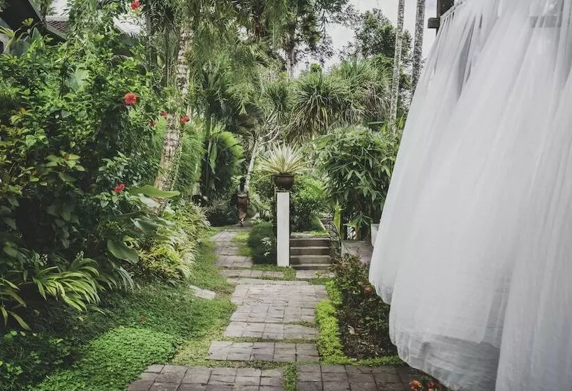 Fotos del hotel Amora Ubud Boutique Villas:  9