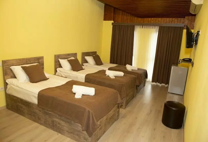 Fotos del hotel Holiday Villa:  8