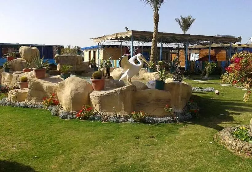 Fotos del hotel Hawaii Riviera Club Aqua Park  Families And Couples Only:  19