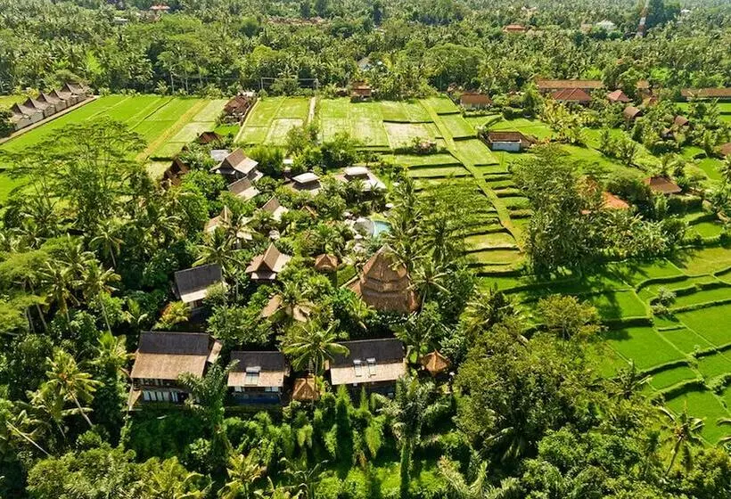 Fotos del hotel Blue Karma  Ubud:  6