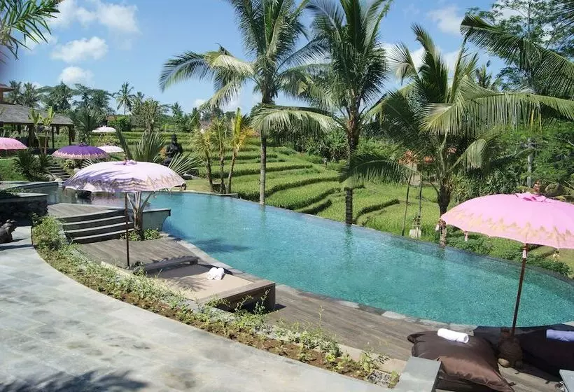 Fotos del hotel Blue Karma  Ubud:  9
