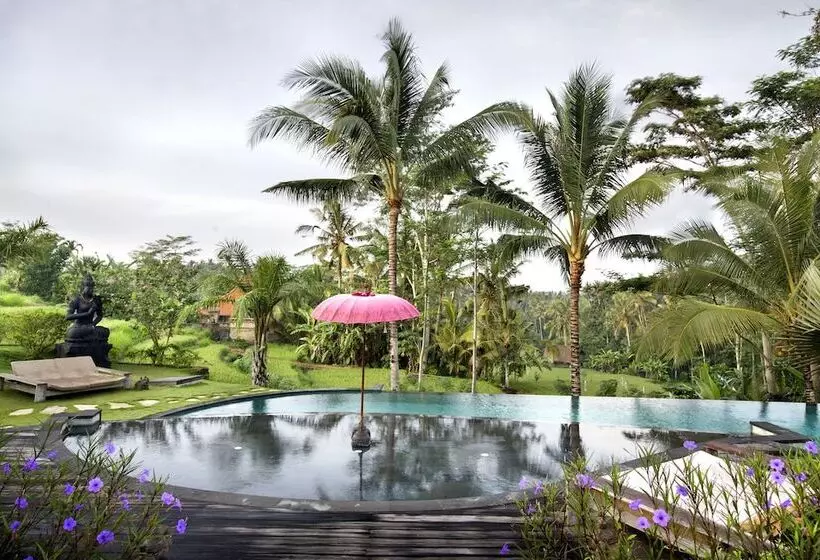 Fotos del hotel Blue Karma  Ubud:  2