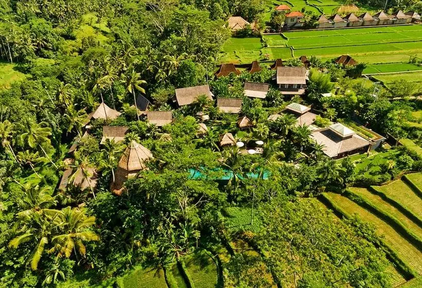 Fotos del hotel Blue Karma  Ubud:  20