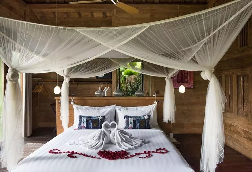 Fotos del hotel Blue Karma  Ubud:  8
