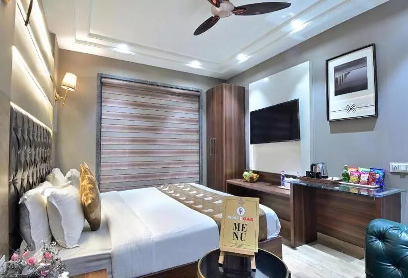 Fotos del hotel Saya @ New Delhi Railway Station:  22