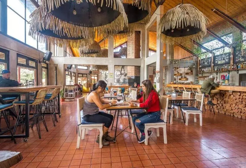 Fotos del hotel Selina Monteverde:  8