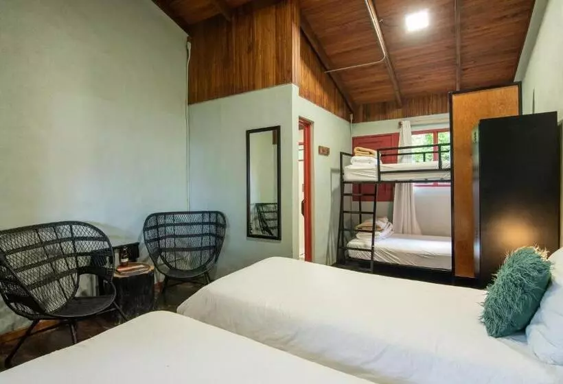 Fotos del hotel Selina Monteverde:  60