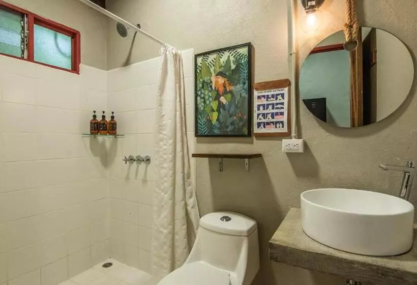 Fotos del hotel Selina Monteverde:  16