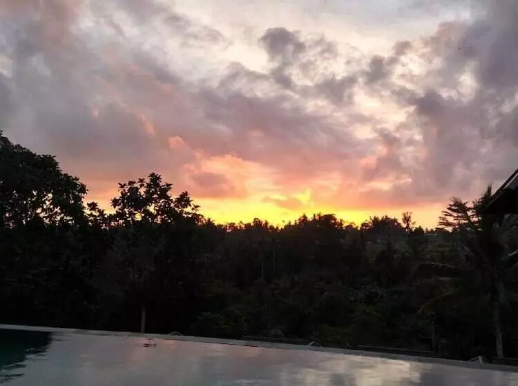 Fotos del hotel Tejaprana Bisma:  14