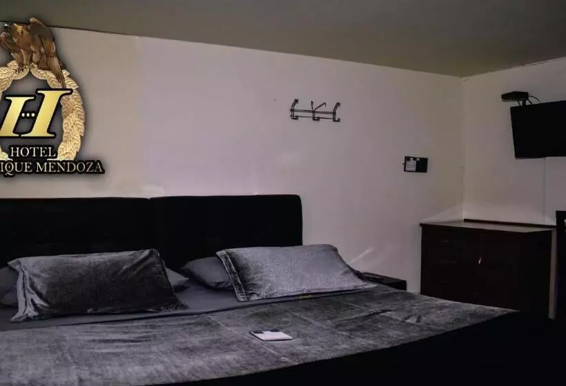 Fotos del hotel Boutique Mendoza:  7