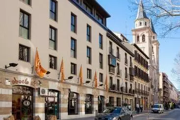 阿尔贝辛炜森酒店 - 格拉纳达