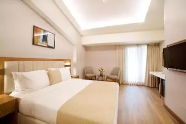Erboy Hotel Istanbul Sirkeci - Istanbul