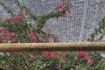 Scallywags Smugglers - Gili Air