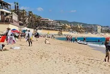 Elegant Condo In An Upscale Building - Los Cabos