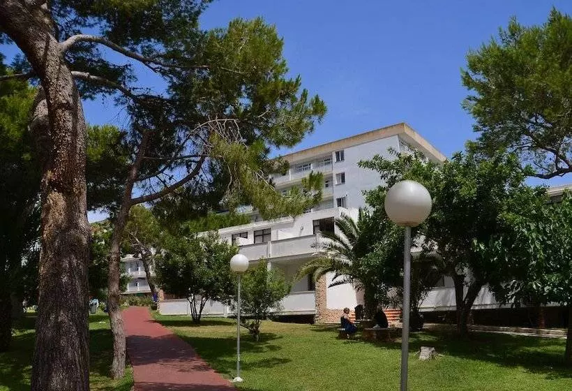 Fotos del hotel Aluasun Cala Antena:  34