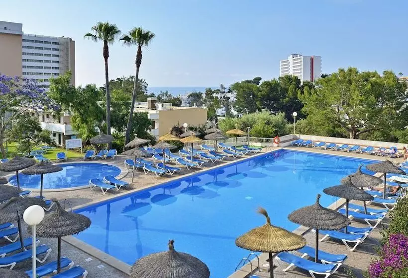 Fotos del hotel Aluasun Cala Antena:  40