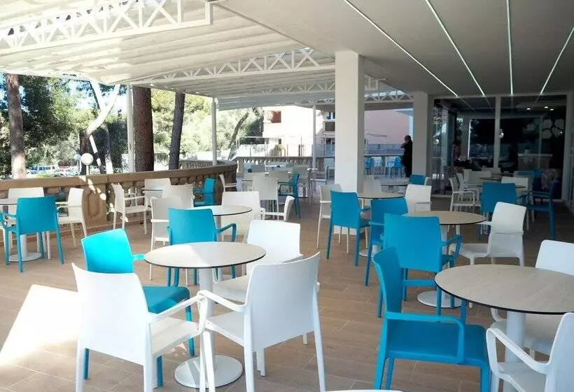 Fotos del hotel Bluesea Costa Verde:  37